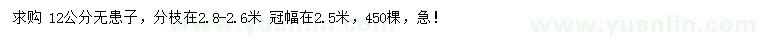 求購(gòu)12公分無(wú)患子