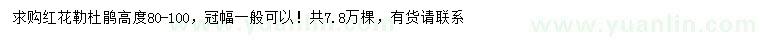求購(gòu)高80-100公分紅花勒杜鵑