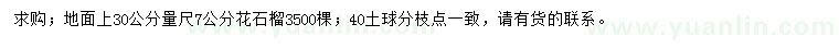 求購地面上30公分量尺7公分花石榴