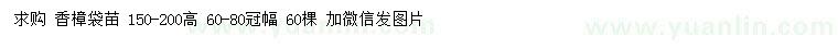 求購(gòu)高150-200公分香樟