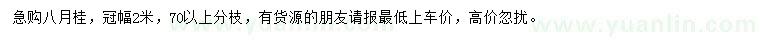 求購冠幅2米八月桂