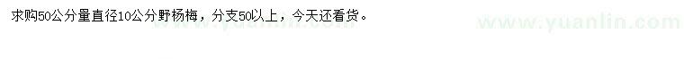 求購50公分量直徑10公分野楊梅