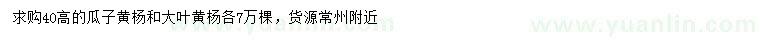 求購高40公分瓜子黃楊、大葉黃楊