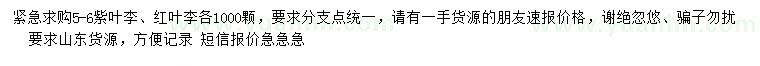 求購5-6公分紫葉李、紅葉李