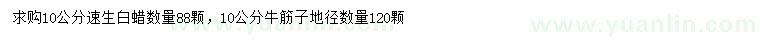 求購10公分速生白蠟、牛筋子