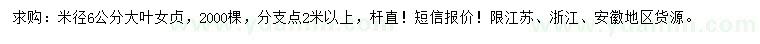 求購(gòu)米徑6公分大葉女貞