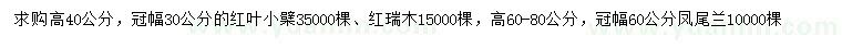 求購(gòu)紅葉小檗、紅瑞木、鳳尾蘭