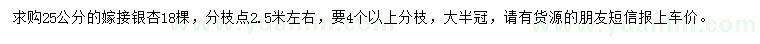 求購25公分嫁接銀杏