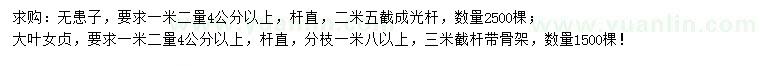 求購1.2米量4公分以上無患子、大葉女貞