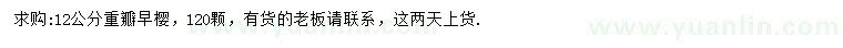 求購12公分重瓣早櫻