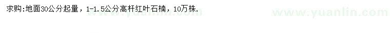 求購(gòu)1-1.5公分高桿紅葉石楠