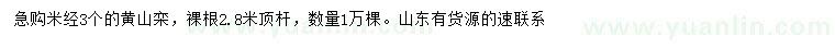 求購(gòu)米徑3公分黃山欒