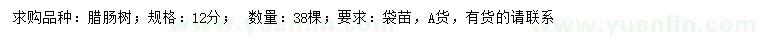 求購12公分臘腸樹