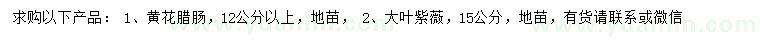 求購(gòu)12公分以上黃花臘腸、15公分大葉紫薇
