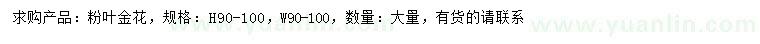求購高90-100公分粉葉金花