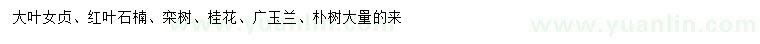 求購(gòu)大葉女貞、紅葉石楠、欒樹等