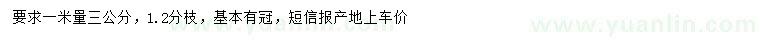 求購1米量3公分桂花