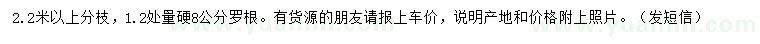 求購1.2米量8公分國槐