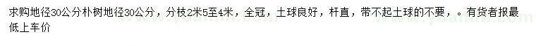 求購(gòu)地徑30公分樸樹(shù)