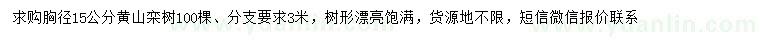求購胸徑15公分黃山欒樹