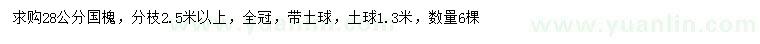 求購28公分國槐