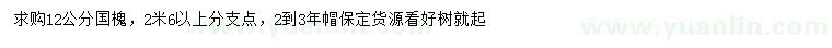求購12公分國槐