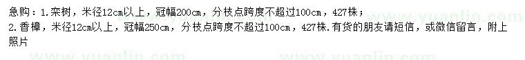 求購12公分欒樹、香樟