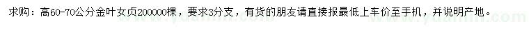 求購高60-70公分金葉女貞