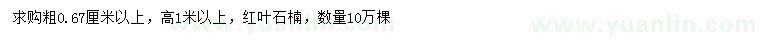 求購高1米以上紅葉石楠