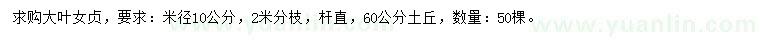 求購米徑10公分大葉女貞