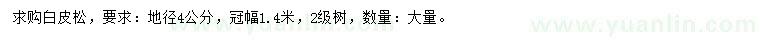 求購地徑4公分白皮松