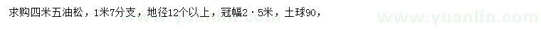 求購4.5米油松