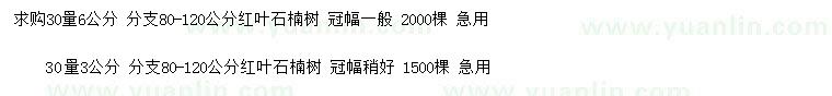 求購30量3、6公分紅葉石楠