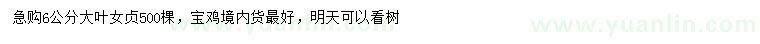求購6公分大葉女貞