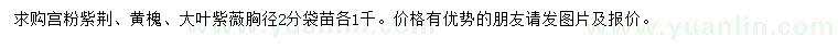 求購(gòu)宮粉紫荊、黃槐、大葉紫薇