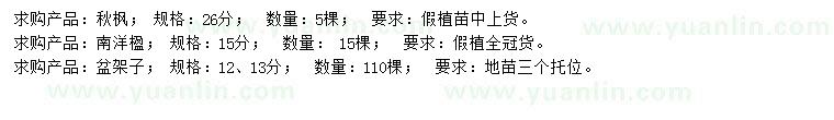 求購秋楓、南洋楹、盆架子
