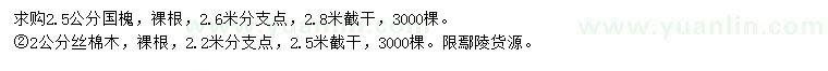 求購2.5公分國槐、2公分絲棉木