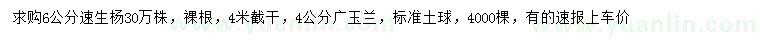 求購6公分速生楊、4公分廣玉蘭