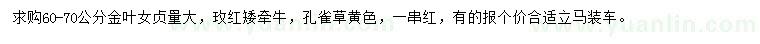 求購金葉女貞、矮牽牛、孔雀草等