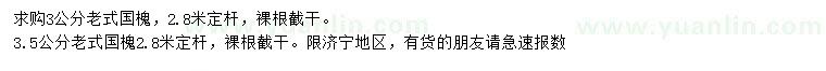求購(gòu)3、3.5公分老式國(guó)槐