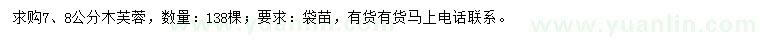 求購7、8公分木芙蓉