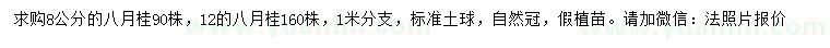 求購米徑8、12公分八月桂