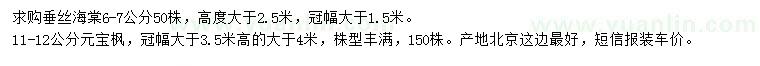 求購6-7公分垂絲海棠、11-12公分元寶楓