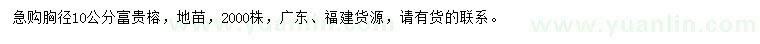 求購胸徑10公分富貴榕
