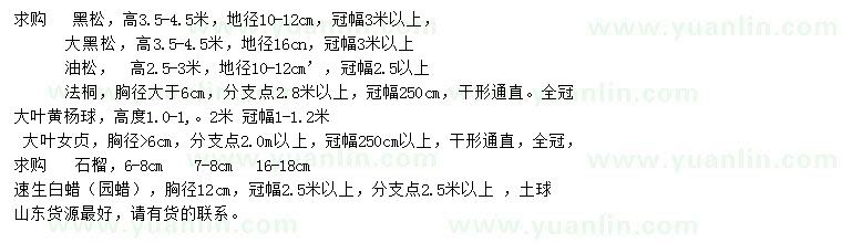 求購黑松、油松、法桐等