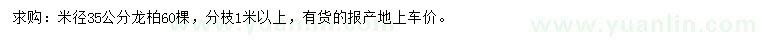 求購(gòu)米徑35公分龍柏