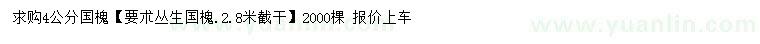 求購4公分國槐
