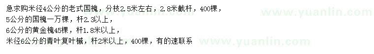 求購國槐、黃金槐、青葉復(fù)葉槭