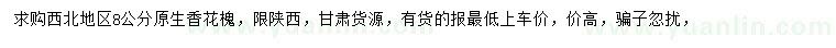 求購8公分香花槐