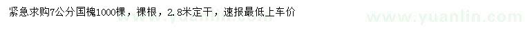 求購7公分國槐